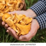 如何在亚博娱乐平台上安全高效地进行游戏 13klj11