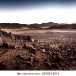 如何在利来国际娱乐中找到最刺激的游戏和活动 55w6ysc