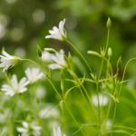 如何在亚游赌场中有效管理自己的游戏预算 b1cj9z