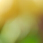 18142期足彩开奖结果揭晓,大奖花落谁家引关注 1jsam