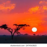 18145期大乐透开奖结果震撼揭晓 2z0kg16