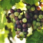 3D全图号开奖现场直播,最新开奖结果实时公布 4i4pg1z0jz