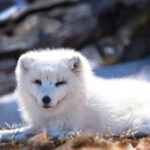 18124期足彩开奖结果揭晓:最新中奖号码与奖金分配详情 59kqs3pb1y