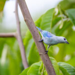 18143期昨日开奖视频全程回顾与中奖号码公布 62t9l7qpoo