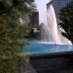 18122期体育彩票开奖结果最新公布 j0saxr