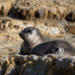 18143期开奖结果揭晓,幸运号码震撼公布 mvm1nd