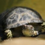 3d前后开奖号码走势分析与预测技巧 nlcy8