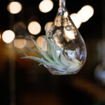 18146期体育彩票开奖公告及中奖号码正式公布 sew99h